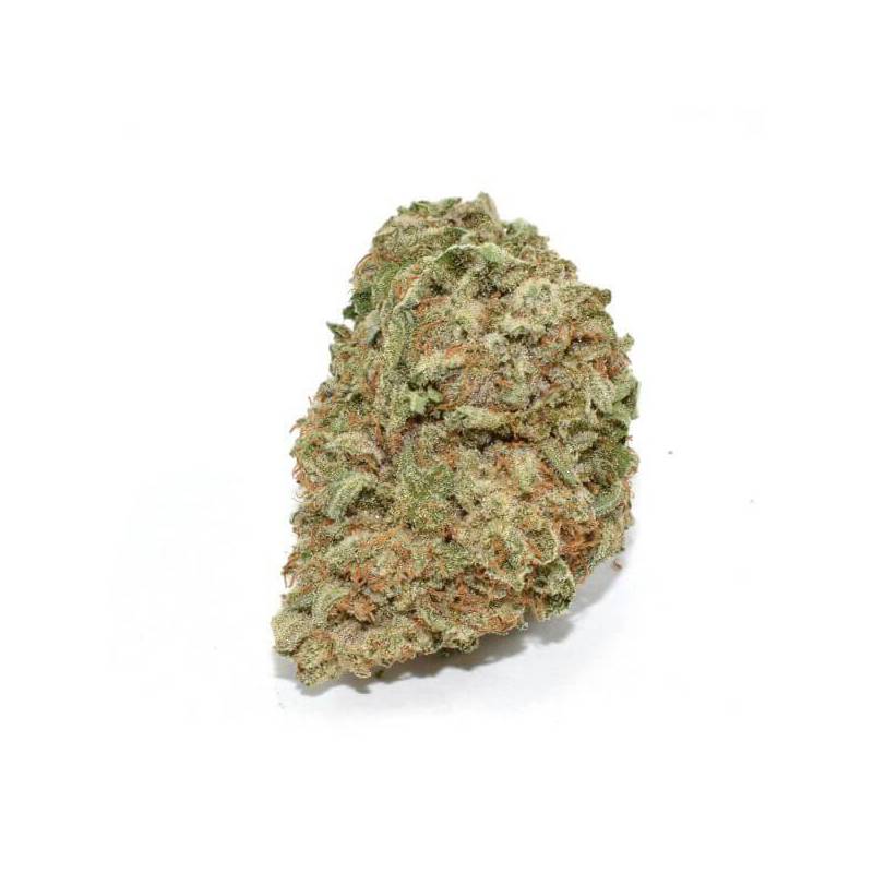 Acapulco Gold – Sativa Hybrid 19–24 % THC Online Bestellung