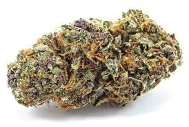 Forbidden Fruit Indica Hybrid Strain 23% - 26% THC