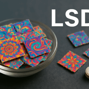 LSD Kaufen