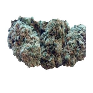 Candy Jack kaufen: Hochpotenter Cannabis-Strain mit 27% THC