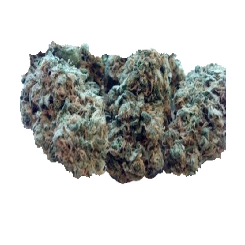 Candy Jack kaufen: Hochpotenter Cannabis-Strain mit 27% THC