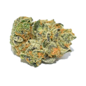 Girl Scout Cookies Strain 28% THC