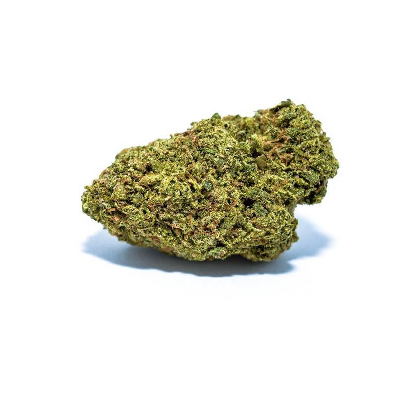 Kush Hybrid Pflanze – Dichte Buds mit orangebraunen Härchen