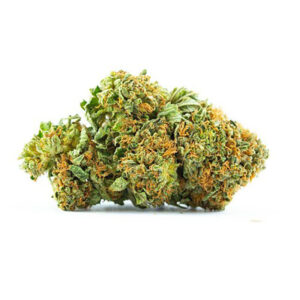 Platinum Girl Scout Cookies Strain 18% - 26% THC