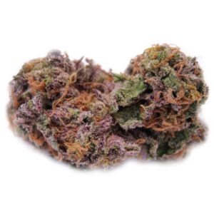 Purple Haze Kush 26% THC